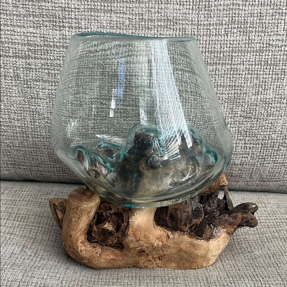 Glass Vase with Driftwood Base